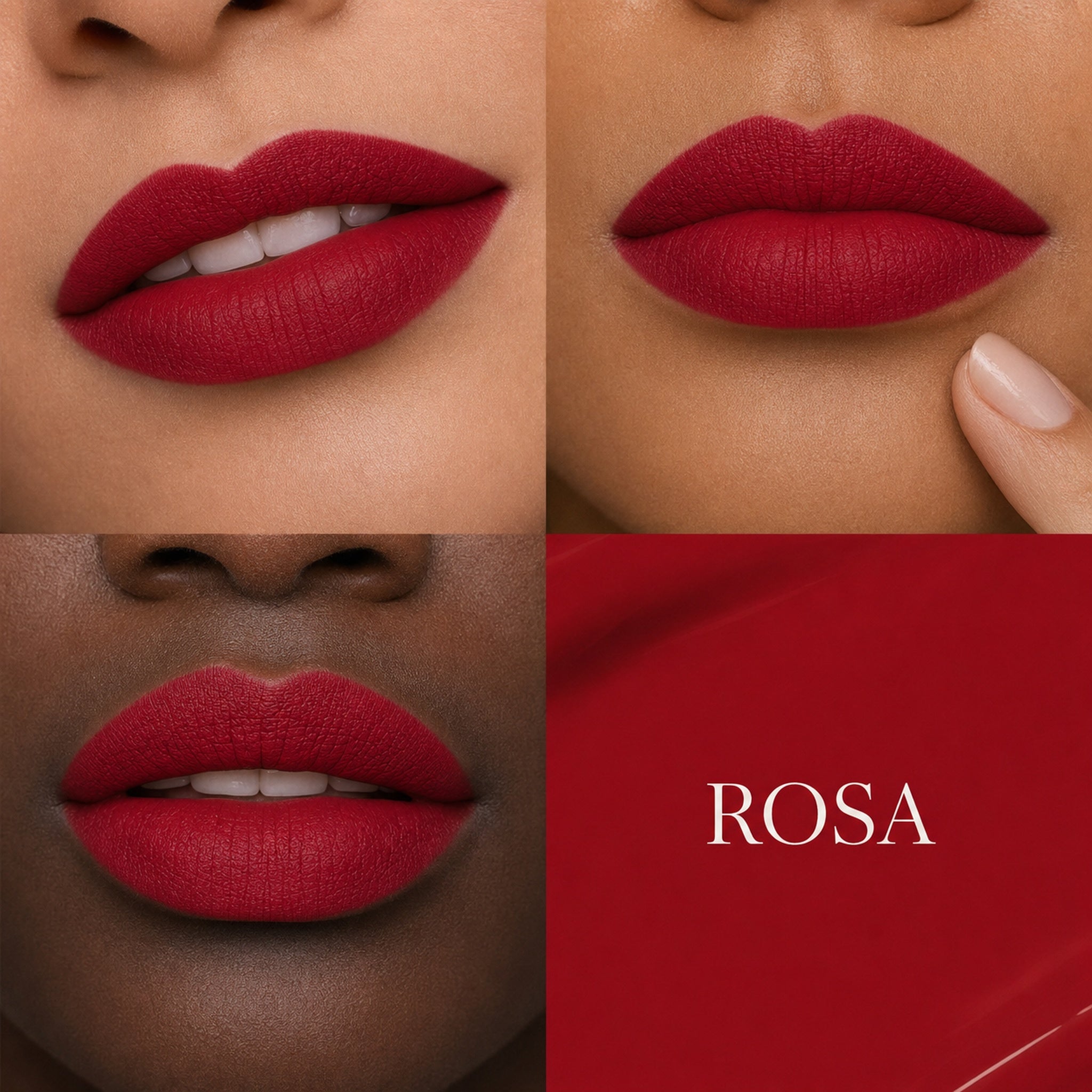 Rosa - Rose Red